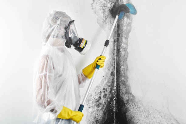 Best Indoor Air Quality Assessment  in Chillicothe, MO
