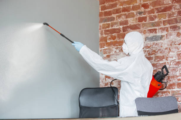 Best Mold Remediation for Healthcare Facilities  in Chillicothe, MO