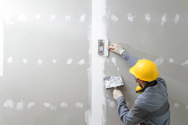 Professional Mold Removal in Chillicothe, MO
