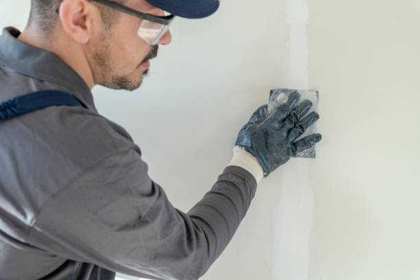 Best Mold-Related Health Consultation  in Chillicothe, MO