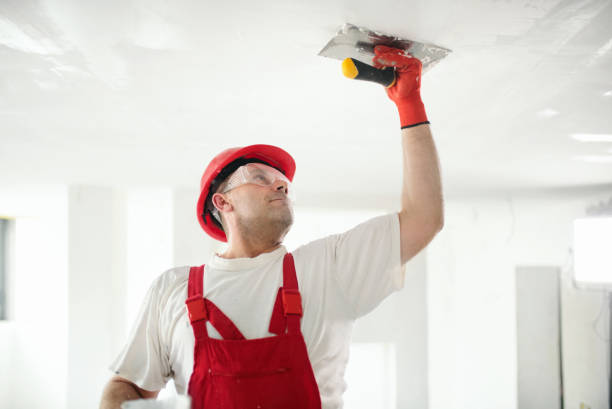 Best Asbestos and Lead Testing During Mold Inspection  in Chillicothe, MO
