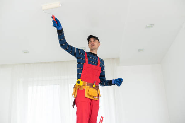 Best Forensic Mold Investigation  in Chillicothe, MO