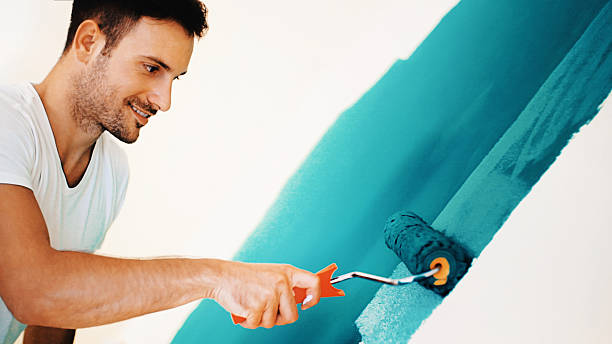 Best Basement Mold Removal  in Chillicothe, MO