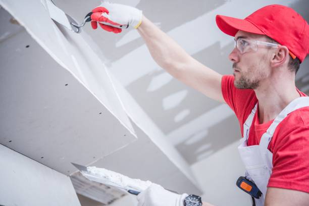 Best Air Quality Testing for Mold Spores  in Chillicothe, MO