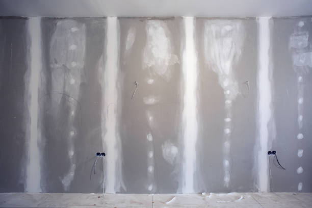 Mold Documentation for Insurance Claims in Chillicothe, MO